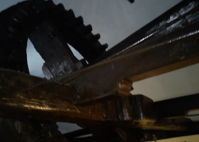 O Moinho Casais dos Cardosos